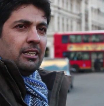 کورونا کے سبب سفارتی کام تعطل کا شکار ہیں – حمل حیدر