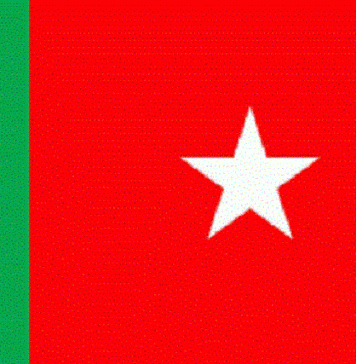 مقبوضہ بلوچستان میں ریاستی بربریت مئی کے ماہ بھی عروج پر رہی -بی این ایم مئی رپورٹ