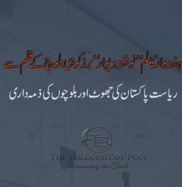 ریاست پاکستان کی جھوٹ اور بلوچوں کی ذمہداری: تحریر برزکوہی