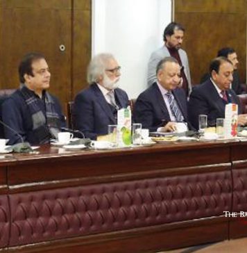 افغانستان و پاکستان کے وفود کا ملاقات:ایک دوسرے کے ساتھ تعاون پر اتفاق