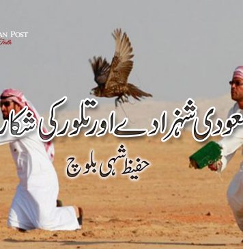 سعودی شہزادے اور تلور کی شکار – حفیظ شہی بلوچ