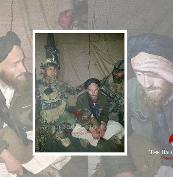 افغان طالبان کا جرمن عسکری مشیرگرفتار