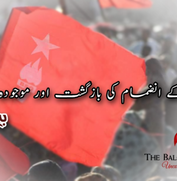 بی ایس او کے انضمام کی بازگشت اور موجودہ حالات – بیبرگ بلوچ