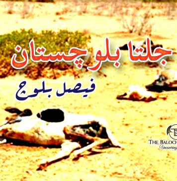 جلتا بلوچستان – فیصل بلوچ