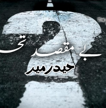 ایک بے مقصد تحریر – حیدرمیر