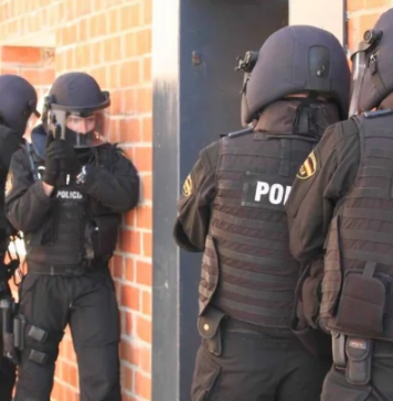 پاکستانی سمیت 24 افراد چائلڈ پورنو گرافی کے جرم میں گرفتار