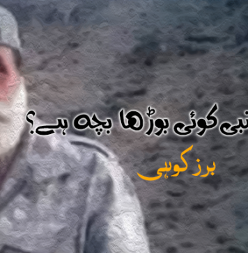 کیاعبدالنبی کوئی بوڑھا بچہ ہے؟ – برزکوہی
