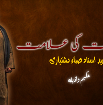 شہید استاد صباء دشتیاری مزاحمت کی علامت – حکیم واڈیلہ