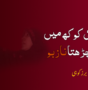 چنبیلی کی کوکھ میں پروان چڑھتا “نازبو” – برزکوہی