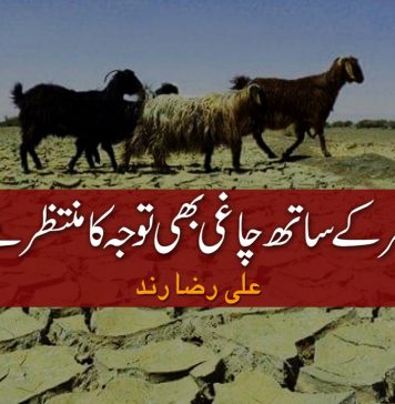 تھر کے ساتھ چاغی بھی توجہ کا منتظر ہے – علی رضا رند