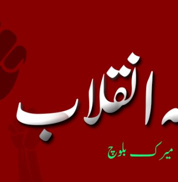 فلسفہ انقلاب – میرک بلوچ