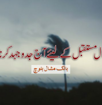 خوشحال مستقبل کے لیئے آج جدوجہد کرنا ہوگا – بانک مشال بلوچ