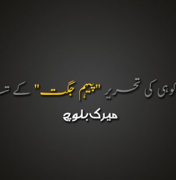 سفارتکاری برزکوہی کی تحریر “پیہم جگت” کے تناظر میں – میرک بلوچ