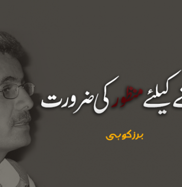 منظور کو سمجھنے کیلئے منظور کی ضرورت ۔ برزکوہی
