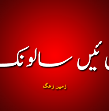 ھِـنّی ئیں سالونـک ۔ زمین زھگ