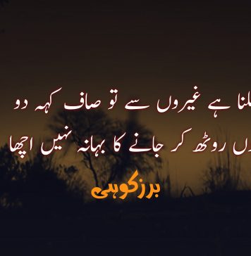 ملنا ہے غیروں سے تو صاف کہہ دو، یوں روٹھ کر جانے کا بہانہ نہیں اچھا – برزکوہی