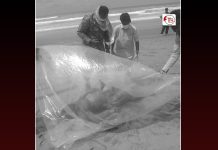 حب چوکی: سمندر میں ڈوبنے والے ایک اور ماہی گیر کی لاش برآمد