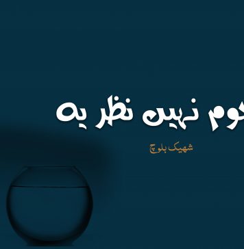 ہجوم نہیں نظریہ – شہیک بلوچ