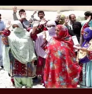 کیچ میں اساتذہ کی برطرفی حکومت کی غیر سنجیدگی کو واضح کرتی ہے – گورگین بلوچ