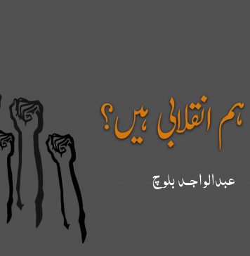 کیا ہم انقلابی ہیں؟ – عبدالواجد بلوچ