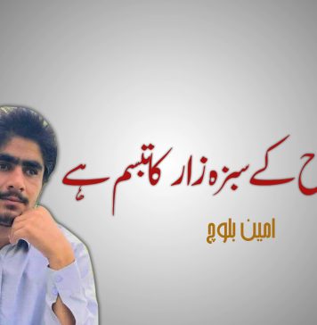 محبت روح کے سبزہ زار کا تبسم ہے – امین بلوچ