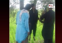 اوستہ محمد: ایک شخص کی درخت سے لٹکی لاش برآمد