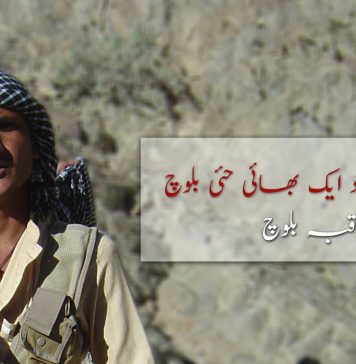 ایک استاد ایک بھائی حئی بلوچ – ثاقبہ بلوچ