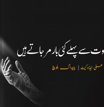 بزدل اپنی موت سے پہلے کئی بار مر جاتے ہیں – کچکول علی | چیداگ بلوچ