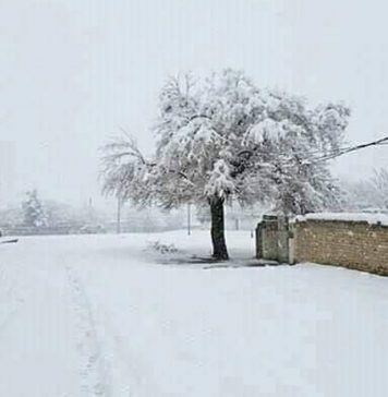 افغانستان: شدید برف باری کے بعد لینڈ سلائیڈنگ، پچیس ہلاکتیں