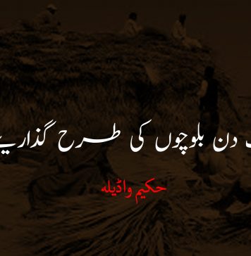 ایک دن بلوچوں کی طرح گذاریئے – حکیم واڈیلہ