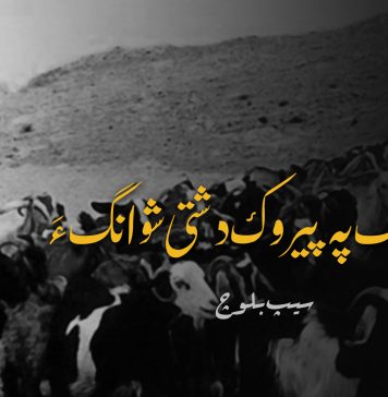 دو دانک پہ پیروک دشتی شوانگ ءَ – سیپ بلوچ