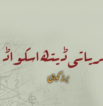نظریاتی ڈیتھ اسکواڈ – برزکوہی