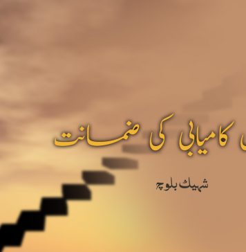 تسلسل کامیابی کی ضمانت – شہیک بلوچ