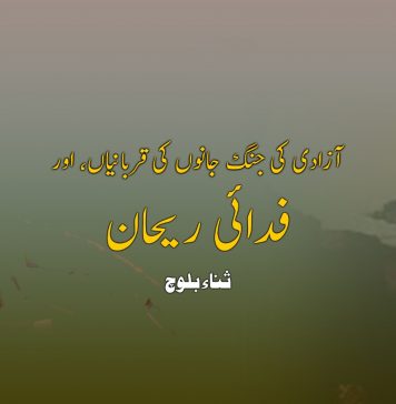 آزادی کی جنگ جانوں کی قربانیاں، اور فدائی ریحان – ثناء بلوچ