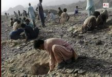 بلوچستان گولڈ سمڈ لائن پر فورسز کا ڈرائیوروں سے جبری مشقت لینے کی اطلاعات