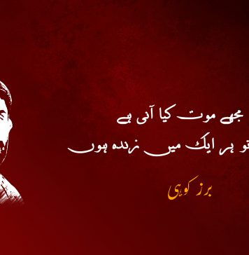 مجھے موت کیا آنی ہے، میں تو ہر ایک میں زندہ ہوں – برزکوہی