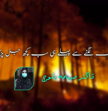 جنگل میں آگ لگنے سے پہلے ہی سب کچھ جل چکا تھا – ڈاکٹر صبیحہ بلوچ