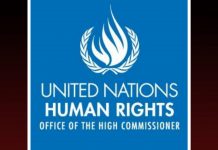 اقوام متحدہ ورکنگ گروپ برائے جبری گمشدگی ، بلوچستان میں جبری گمشدگیوں پر بی ایچ آر سی کی بریفنگ