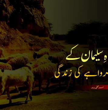 کوہِ سلیمان کے چرواہے کی زندگی ۔ مرتضیٰ بزدار