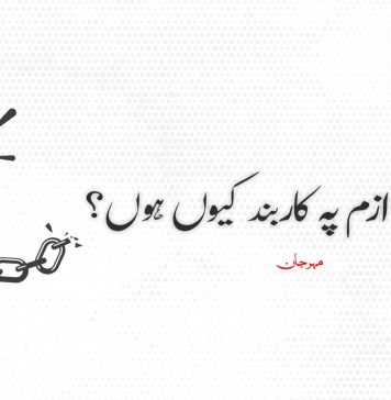 میں نیشنل ازم پہ کاربند کیوں ہوں؟ (آخری قسط) ۔ مہرجان