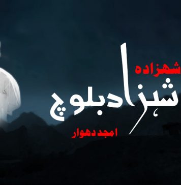 وطن کا شہزادہ، شہزاد بلوچ ۔ امجد دھوار