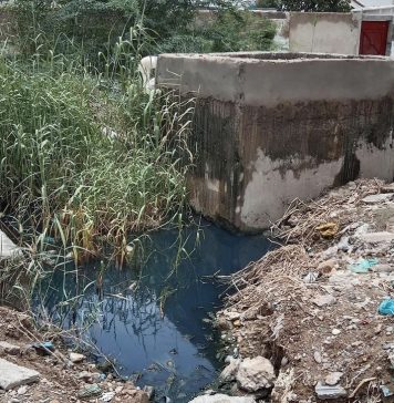 حب: بارشوں سے متعدد بیماریاں پھیلنے لگیں