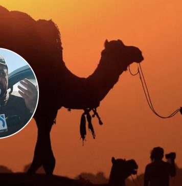 اونٹ چوری کا الزام : گزین مری کی عبوری ضمانت منظور