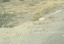 تربت اور مارگٹ میں فورسز پر بم دھماکے