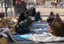 کوئٹہ: ماہل بلوچ کی جبری گمشدگی کے خلاف ریڈ زون میں دھرنا جاری