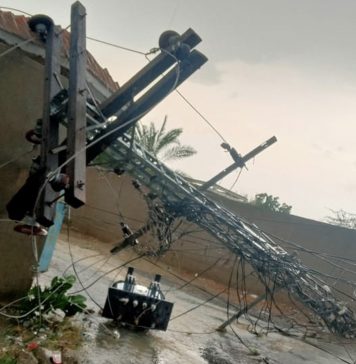 لہڑی میں بارش سے بجلی کے پول اور کئی درخت زمین بوس