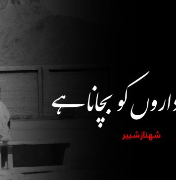 تعلیمی اداروں کو بچانا ہے ۔ شھناز شبیر