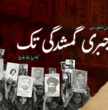 قومی شعور سے جبری گمشدگی تک ۔ کامریڈ وفا بلوچ