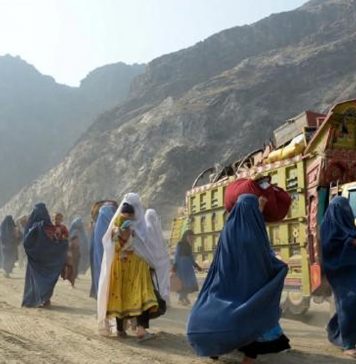 بڑے پیمانے پر افغان پناہ گزینوں کو نکالنے کا سلسلہ معطل کریں – اقوام متحدہ
