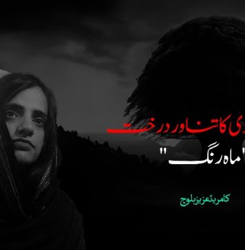 بابا مری کا تناور درخت”ماہ رنگ” ۔ کامریڈ عزیز بلوچ